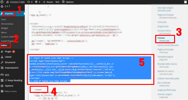 inserire-codice-zopim-live-chat-nella-header