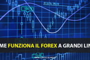 Come funziona il forex a grandi linee.