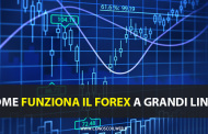 Come funziona il forex a grandi linee.